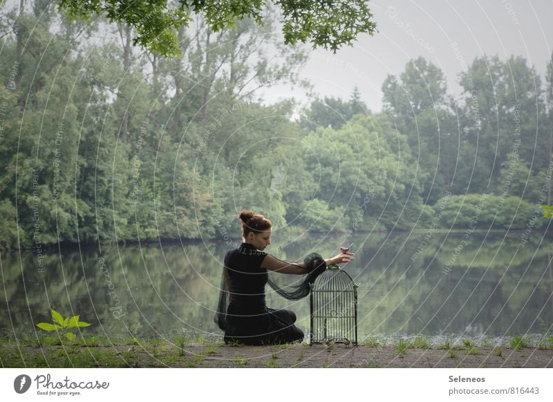 Shabby Chic Trip Far-off places Freedom Human being Feminine Woman Adults 1 Environment Nature Landscape Water Sky Plant Tree coast Lakeside River bank Pond