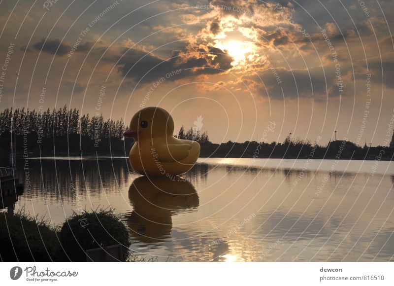 udon thani, thailand Lake Town Downtown Tourist Attraction Squeak duck Water Tourism Contentment Exterior shot Deserted Twilight