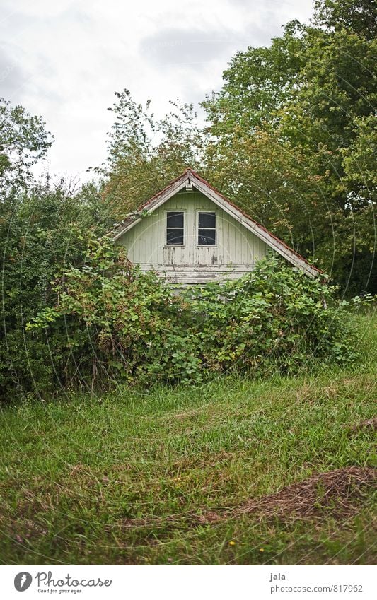 cottages Environment Nature Landscape Plant Sky Tree Grass Bushes Foliage plant Wild plant Garden Meadow Hut Manmade structures Building Natural Colour photo