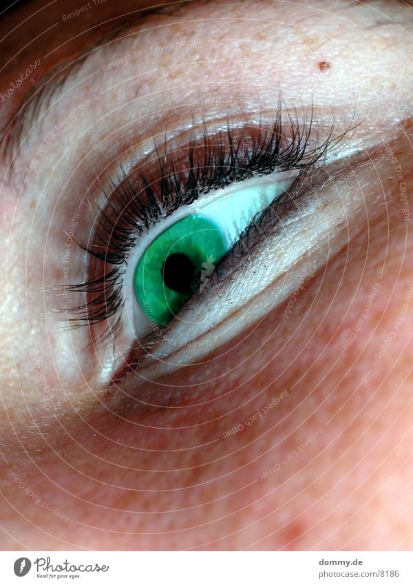 greenEye Feminine Green Contact lense Eyelash Macro (Extreme close-up) Close-up Eyes hatu