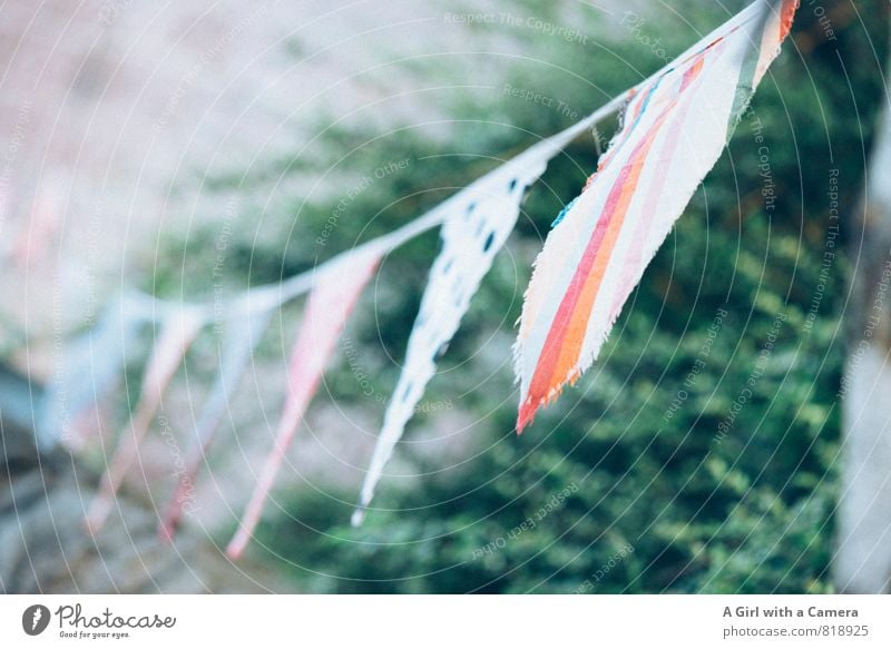 flag Bushes Multicoloured Flag Row of seats Feasts & Celebrations Decoration Exterior shot Friendliness Welcome Subdued colour Close-up Detail Deserted