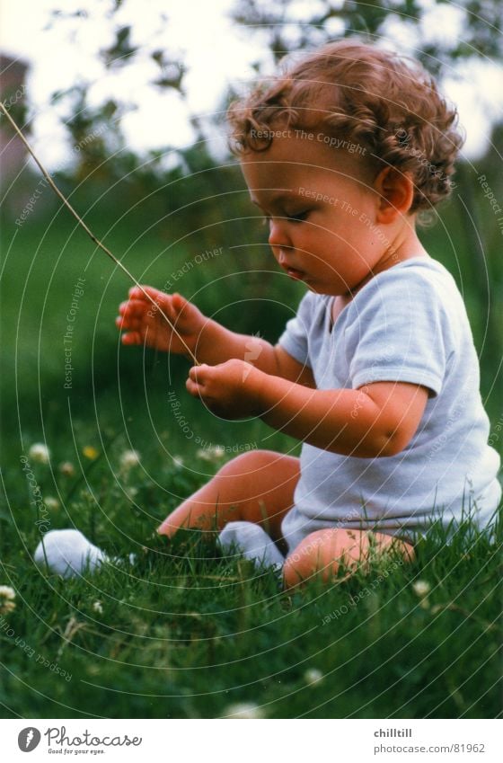 Ui watten dat Question mark Child Grass Flower Blonde Understanding Meadow Green Netherlands Stockings Bacon Hippie Toddler Curl Branch Sit Interest Marvel