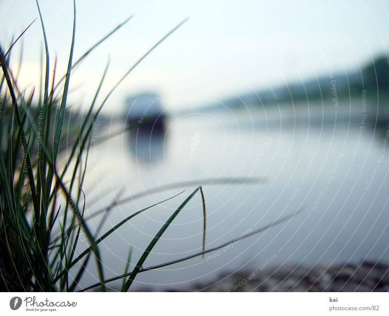 boathouse Boathouse Elbe River Sky Evening Blade of grass Close-up Shallow depth of field Calm Resting point Remote Water River bank