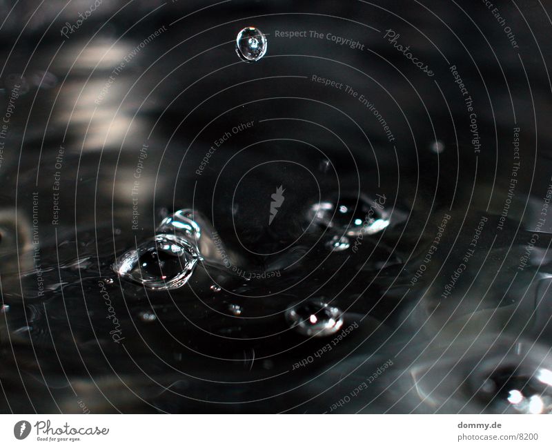 flying droplet Frozen Inject Fluid Waves Macro (Extreme close-up) Close-up Water