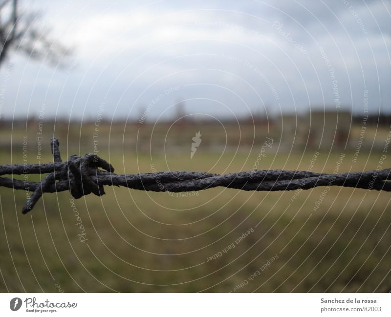 Auschwitz/Birkenau II Fascist Barbed wire Derelict Concentration camp Auschwitz-Birkenau National socialist Grating Landmark Monument Rust Poland wire entangled