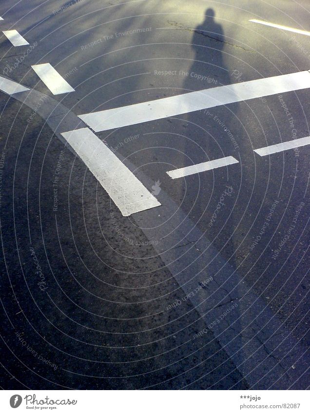 Pedestrian crossing Going Asphalt Black Colossus Large Self portrait Shadow Darken Traffic infrastructure Traffic lane To go for a walk Growth