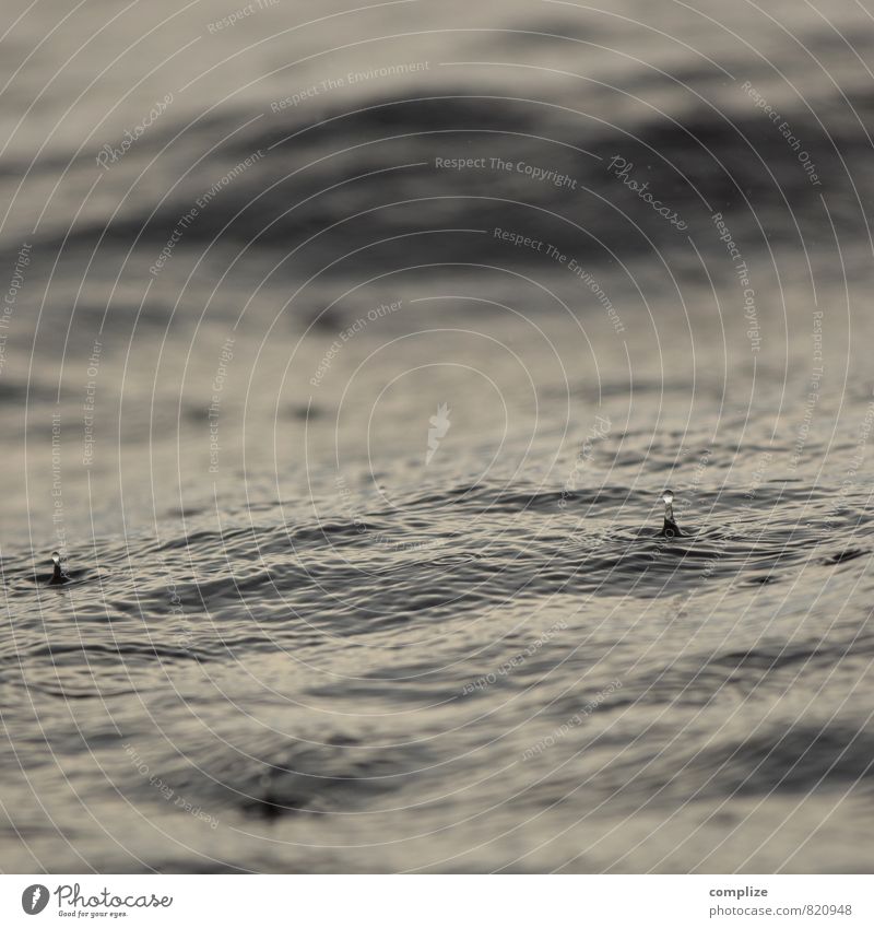 Rain at the lake Wellness Senses Relaxation Calm Waves Coast Lakeside Beach Pure Maritime Thunder and lightning Colour photo Subdued colour Exterior shot