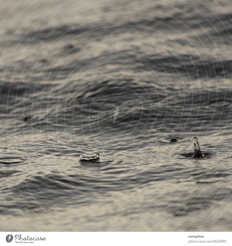 rain Vacation & Travel Summer vacation Ocean Waves Environment Nature Elements Water Drops of water Weather Bad weather Storm Wind Rain Coast Lakeside Gray