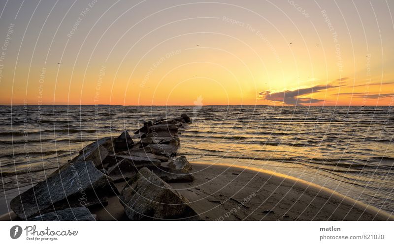 At the Lagoon Nature Landscape Sky Clouds Horizon Sunrise Sunset Spring Weather Beautiful weather Wind Waves Coast Beach Bay Baltic Sea Blue Brown Gold