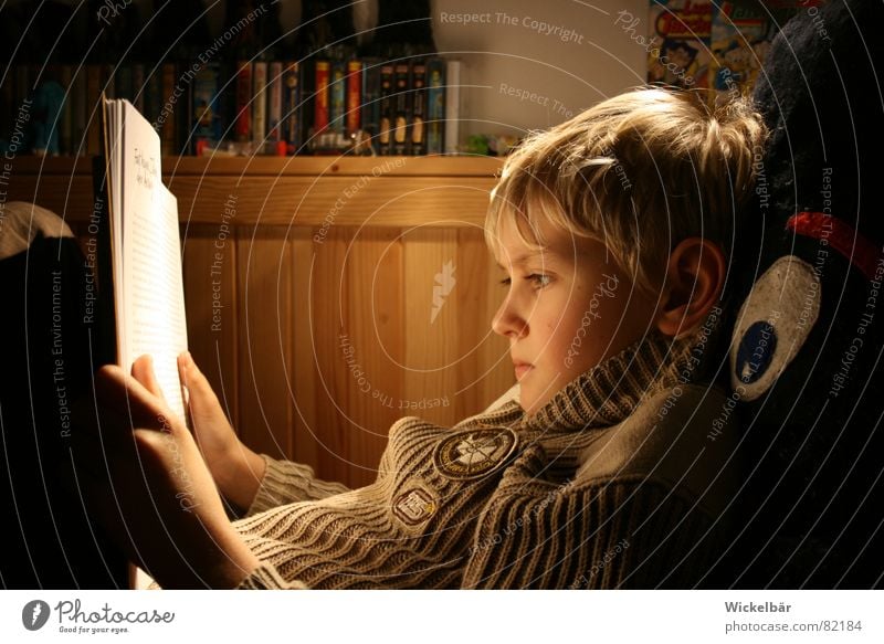 bookworm Literature Book Child Leisure and hobbies Practice Reading Reader Diligent Light Lamp Toys Meet Study Print media Homework Novella Boy (child) School