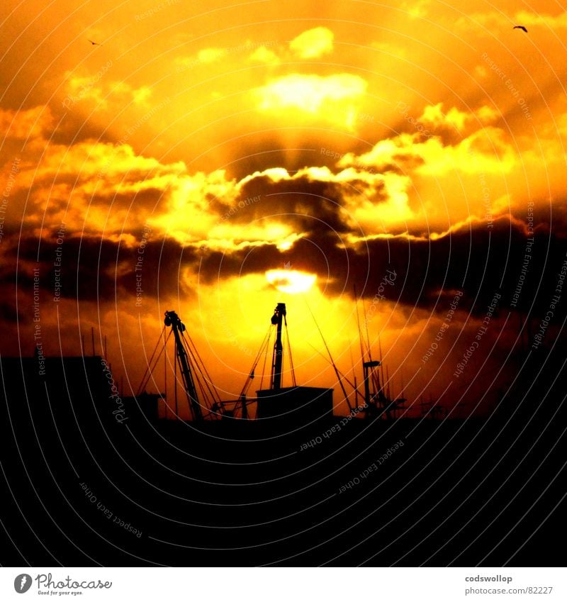 trawlers Trawler Antenna Radar station Sunset Yellow Black Sunbeam Beach Coast Celestial bodies and the universe Beautiful fish steamer aerial sunrays harbour