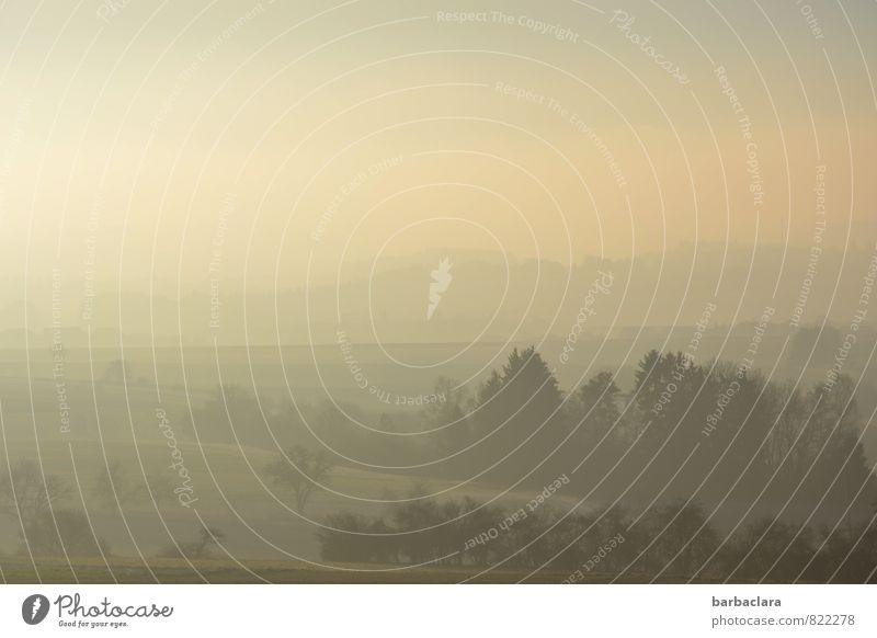 Soft morning light Nature Landscape Earth Air Sky Sunrise Sunset Fog Tree Bushes Field Hill Illuminate Bright Moody Beginning Expectation Horizon Calm