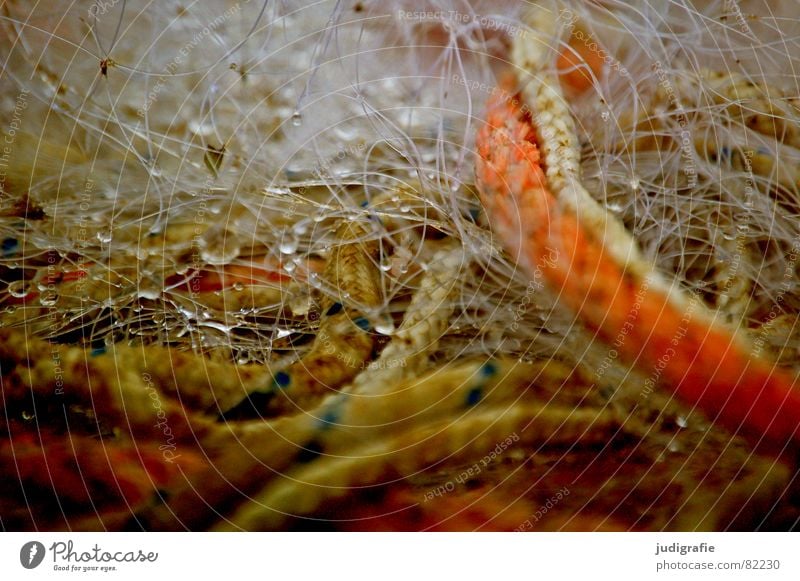 Fischer's patience puzzle Fishing net Fishery Multicoloured Loop String Stripe Wet Muddled Damp Rope Entangle Lose the thread Chaos Ocean Autumn Net Harbour