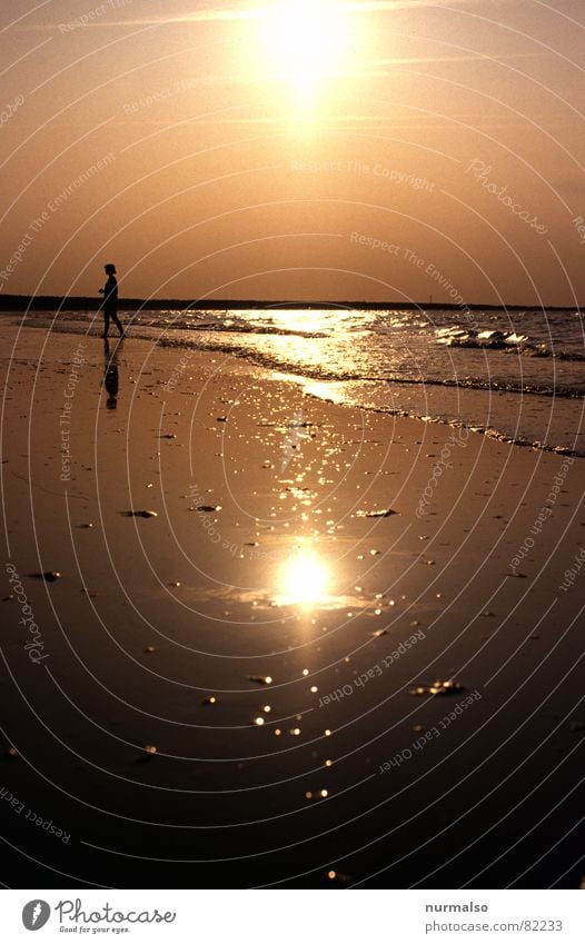 Golden Baltic Sea Peninsula Beach Zingst Prerow Summer Bathing place Navigation Islander Sunbathing Evening Water Swimming & Bathing warm season Dusk