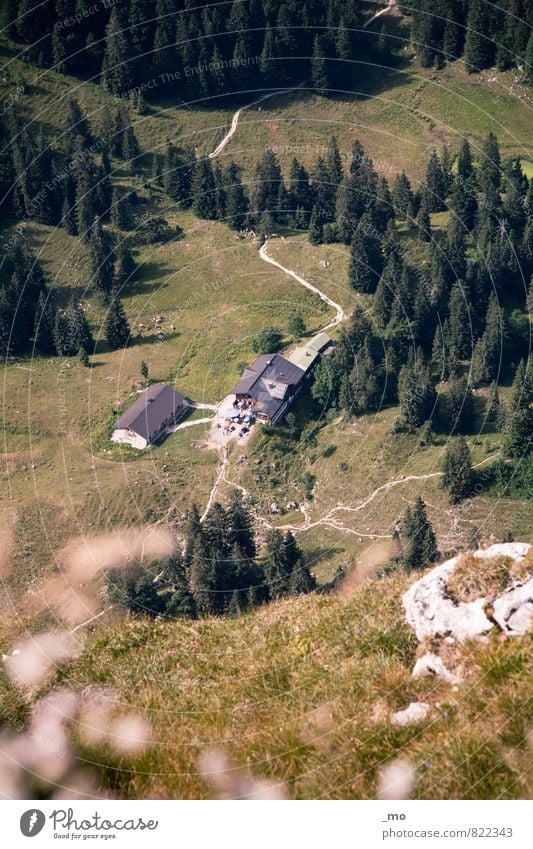 summer camp Trip Summer Mountain Hiking House (Residential Structure) Climbing Mountaineering Environment Nature Beautiful weather Meadow Forest Hill Rock Alps