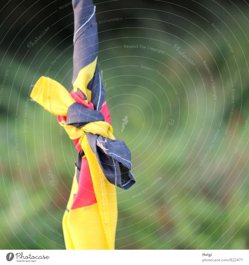 ...land of opportunity. Sign Knot Flag German Flag To hold on Exceptional Uniqueness Yellow Gold Green Red Black Solidarity Bizarre Creativity Irritation Change