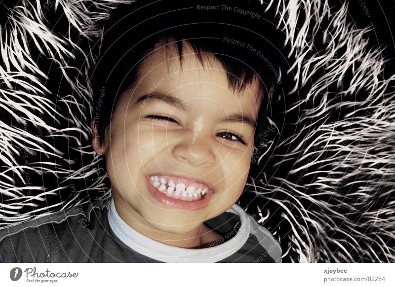 Little boy Pelt Child Toddler Boy (child) Joy Laughter Grinning young