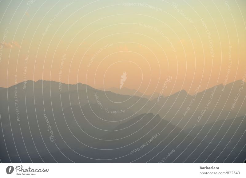 solstice Landscape Elements Sky Horizon Summer Alps Mountain Nebelhorn Allgäu Alps Peak Dusk Summer solstice Illuminate Moody Joie de vivre (Vitality) Longing