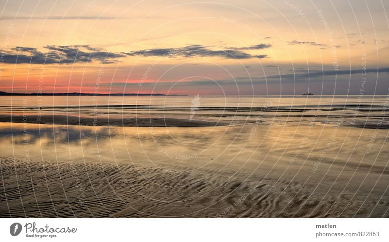 evening Nature Landscape Sky Clouds Night sky Horizon Sunrise Sunset Spring Weather Beautiful weather Waves Coast Beach Baltic Sea Blue Brown Multicoloured