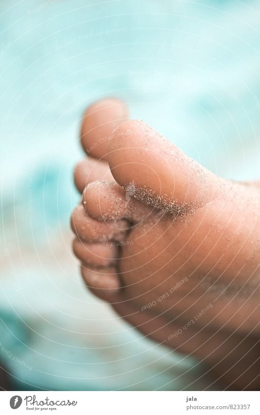 feet Human being Feminine Feet Sand Esthetic Natural Beautiful Athlete's foot Beach Colour photo Exterior shot Copy Space top Neutral Background Day