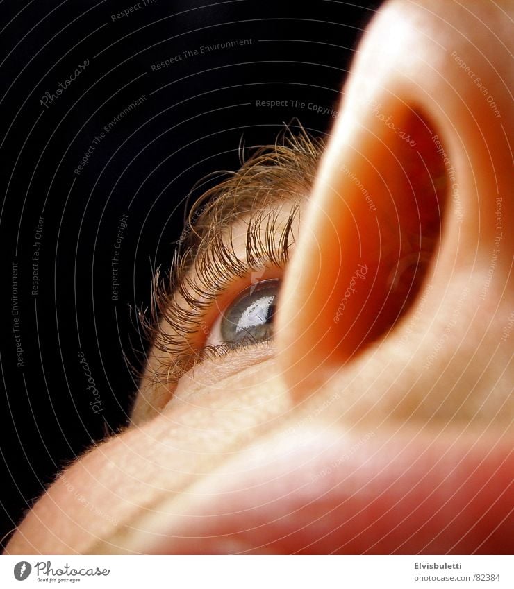 nasal eye Nostril Cheek Near Macro (Extreme close-up) Close-up winper Eyes Nose Lips Face Eyelash