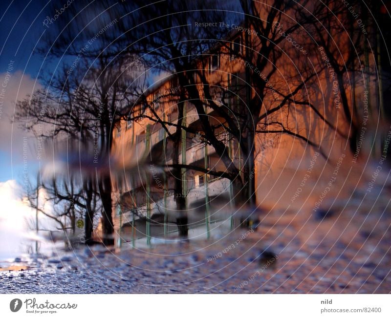 Greetings to Utrecht... Puddle Reflection Town Multicoloured Blue-red House (Residential Structure) Munich Water Boredom blue-red-grey