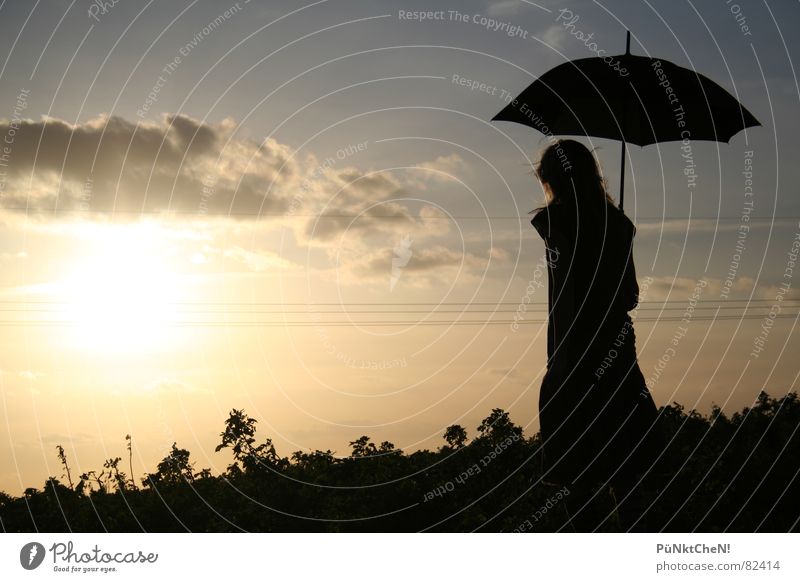 puesta de sol Umbrella Sunset Clouds Sunbeam Field Meadow Autumn