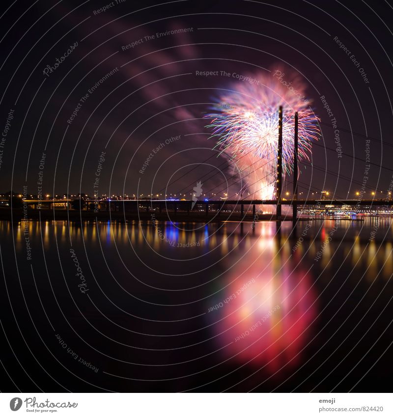 Düsseldorf Firecracker Public Holiday Night sky Town Skyline Bridge Exceptional Black Duesseldorf Colour photo Multicoloured Exterior shot Deserted