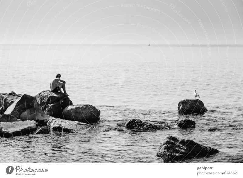 Men staring at seagulls Senses Relaxation Calm Cure Swimming & Bathing Vacation & Travel Tourism Adventure Far-off places Summer Summer vacation Sun Sunbathing