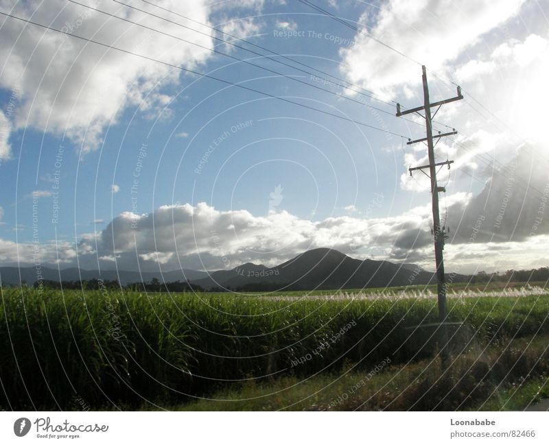 cane sugar Sugarcane Clouds Queensland Australia Electricity Light Street Landscape road trip