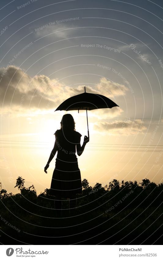 parasol Sunset Field Meadow Clouds Umbrella Grass Autumn Sky