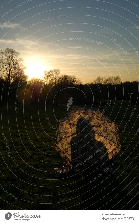 She's living in the shadow Lighting Woman Lady Umbrella Sun Evening sun Sunset North Rhine-Westphalia Relaxation Tree Meadow To enjoy Heat Idyll Pleasant