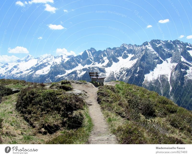 Bank on viewpoint in the mountains Vacation & Travel Trip Hiking Mountain Nature Landscape Sky Spring Beautiful weather Bushes Hill Rock Alps Snowcapped peak