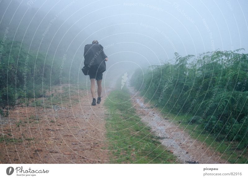 Hikers in the fog Brazil Hiking Fog Fog bank Gray Loneliness Aimless Backpack Shroud of fog Autumn South America Estrada Real backpacker migratory bird wanderer