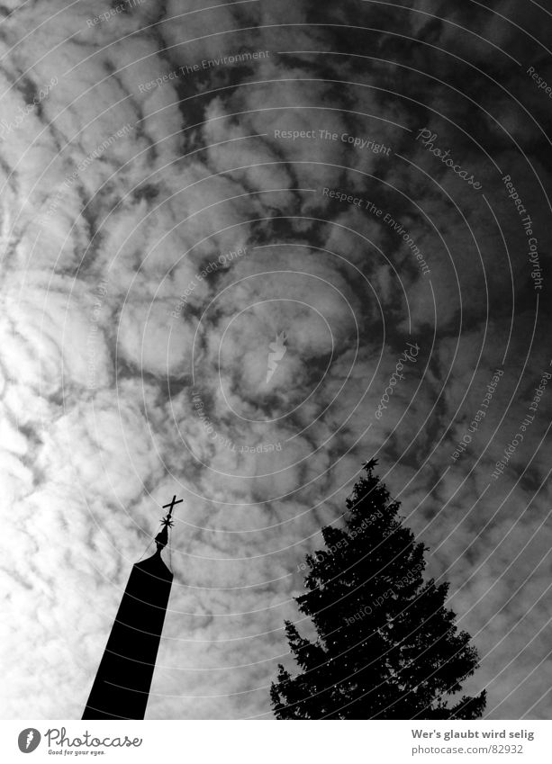 Clouds over Rome Multiple Glittering Peter's square Chiesa San Pietro Eternity Diffuse Considerable Dark Threat Beautiful Bad weather Far-off places Italy