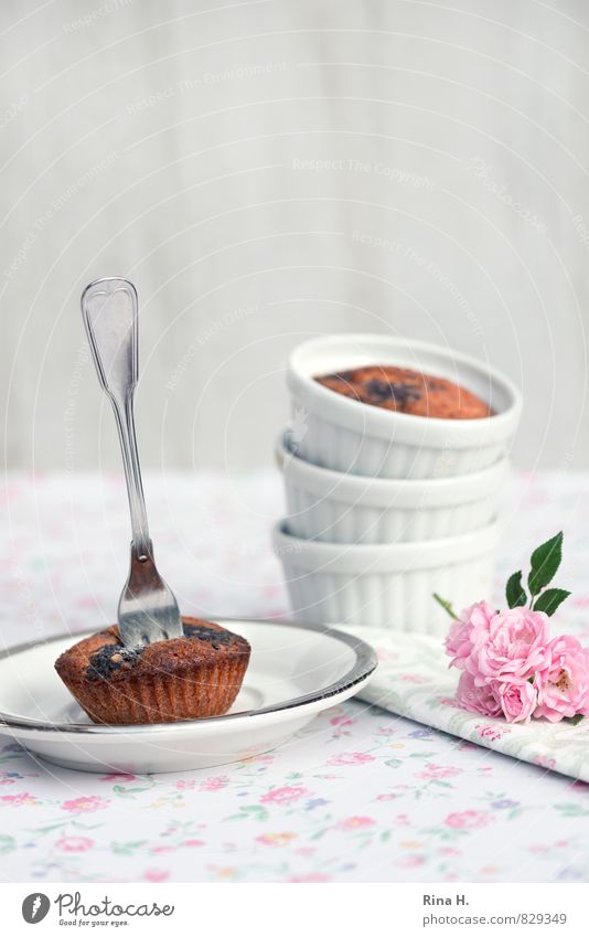 Cherry Poppy II Dough Baked goods Crockery Plate Fork Bright Delicious Sweet Pink White food Muffin Rose Napkin Tablecloth Colour photo Exterior shot Deserted