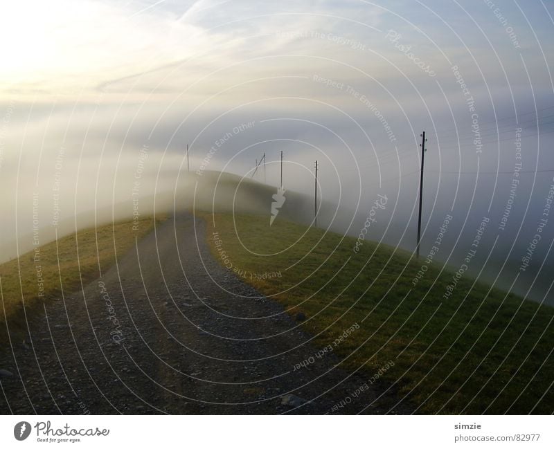 mist walk Fog Switzerland Clouds Ambiguous Insecure Winter Mountain Lanes & trails To go for a walk Sky Calm