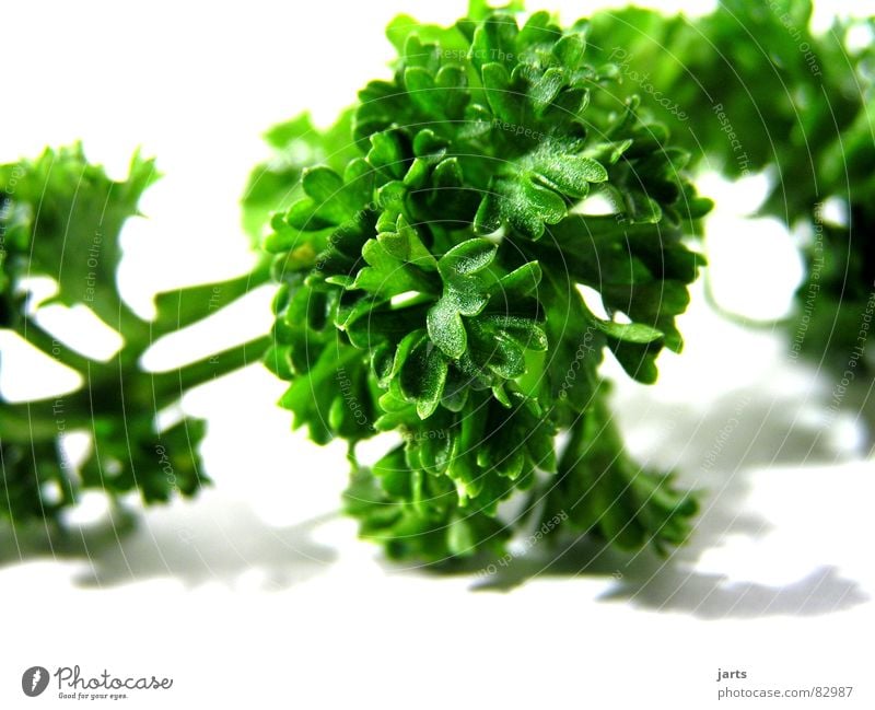 Parsley I Herb garden Herbs and spices Kitchen Green Cooking Sense of taste Decoration Vegetarian diet Gastronomy Vegetable pertersily Garden jarts