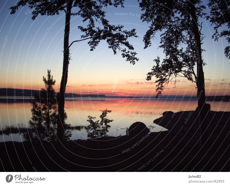 midsummer Lake Scandinavia Norway Forest Midnight sun Morning Clouds Summer solstice Wilderness Ghosts & Spectres  Natural phenomenon Dawn Nature Sky Bay Water