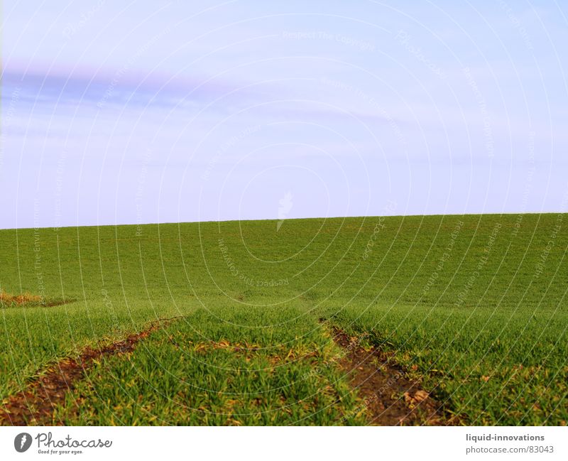 trace Field Agriculture Lanes & trails Green Cyan Spring Horizontal Calm Far-off places Infinity Bend Undulating Foliage plant Skid marks Meadow Animal tracks