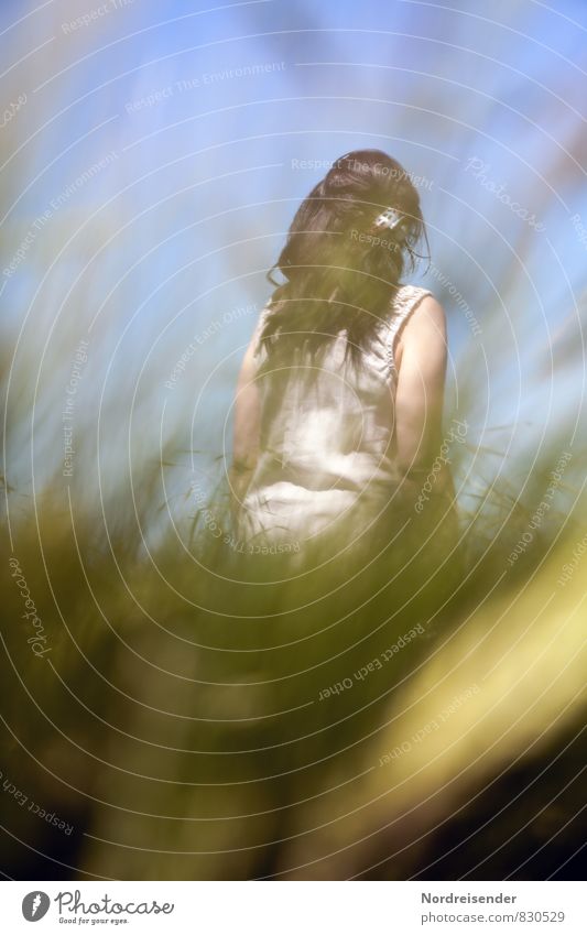 summertime Lifestyle Senses Relaxation Calm Summer Agriculture Forestry Human being Feminine Woman Adults 1 Nature Beautiful weather Grass Meadow Dress