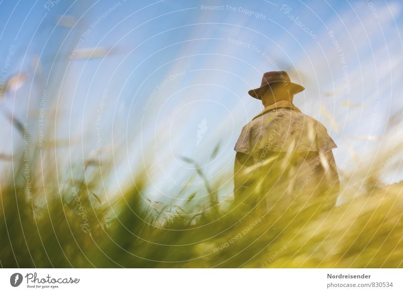 scarecrow Trip Summer Hiking Agriculture Forestry Human being Masculine Man Adults 1 Nature Landscape Plant Beautiful weather Meadow Field Coat Hat Observe