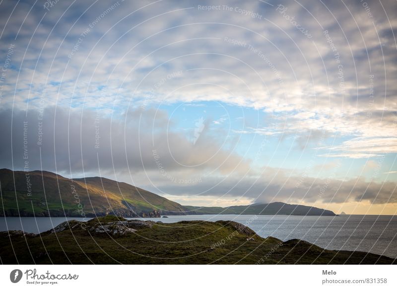 Ring of Beara Vacation & Travel Tourism Trip Far-off places Freedom Ocean Island Mountain Nature Landscape Animal Water Sky Summer Beautiful weather Hill Rock