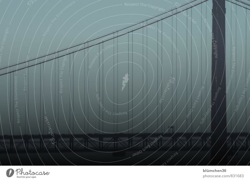 crosswise and straight Bridge Manmade structures Bridge railing Tourist Attraction Traffic infrastructure Passenger traffic Public transit Road traffic Motoring