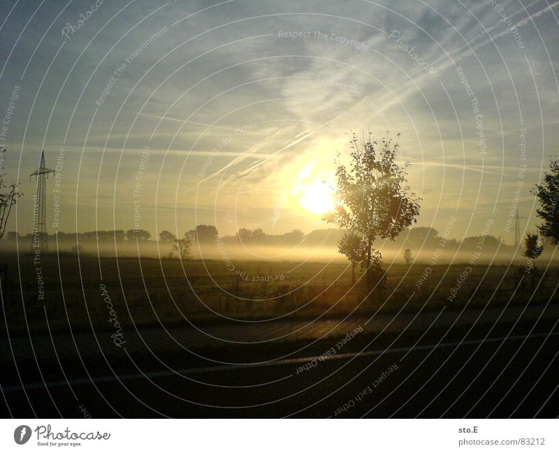 # 1 High point Sunset Horizon Tree Bad weather Still Life Fog Lane markings Roadside Bushes Dazzle Stripe Reflection Morning Sunrise Country road Shroud of fog