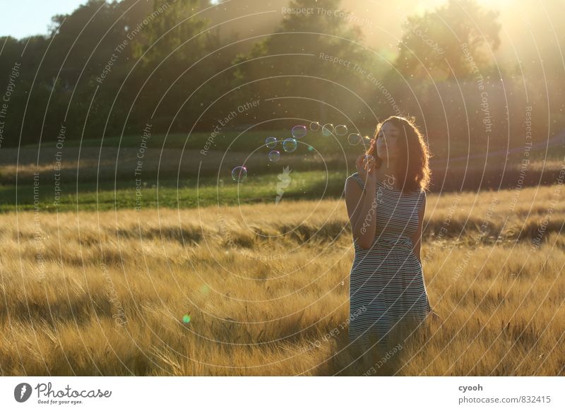 the lightness of summer Young woman Youth (Young adults) Observe Illuminate Dream Free Natural Beautiful Warmth Feminine Soft Gold Joy Happy Happiness