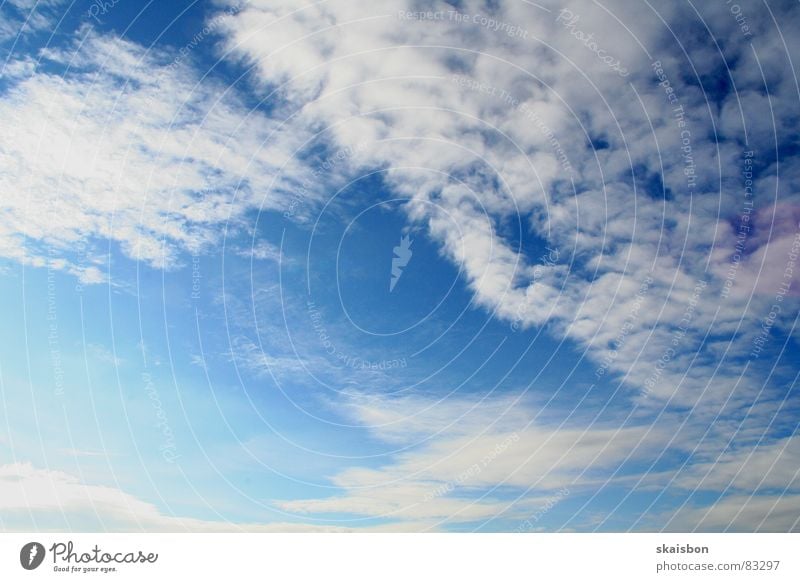 sky, the ... Far-off places Freedom Aviation Nature Sky Clouds Weather Wind Infinity Above Blue Moody Eternity Peace Cumulus Meteorology Stratocumulus