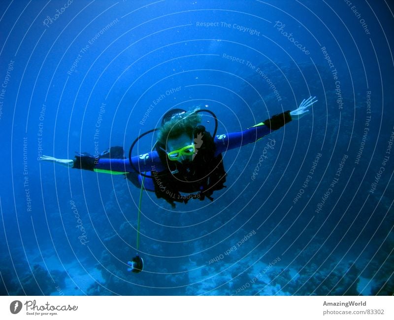 deep flight Respiratory arrest Out of breath Aquatics Infinity Diver Ocean Egypt Emerge Air Oxygen Aquanaut Underwater photo Breathe Air bubble Hover