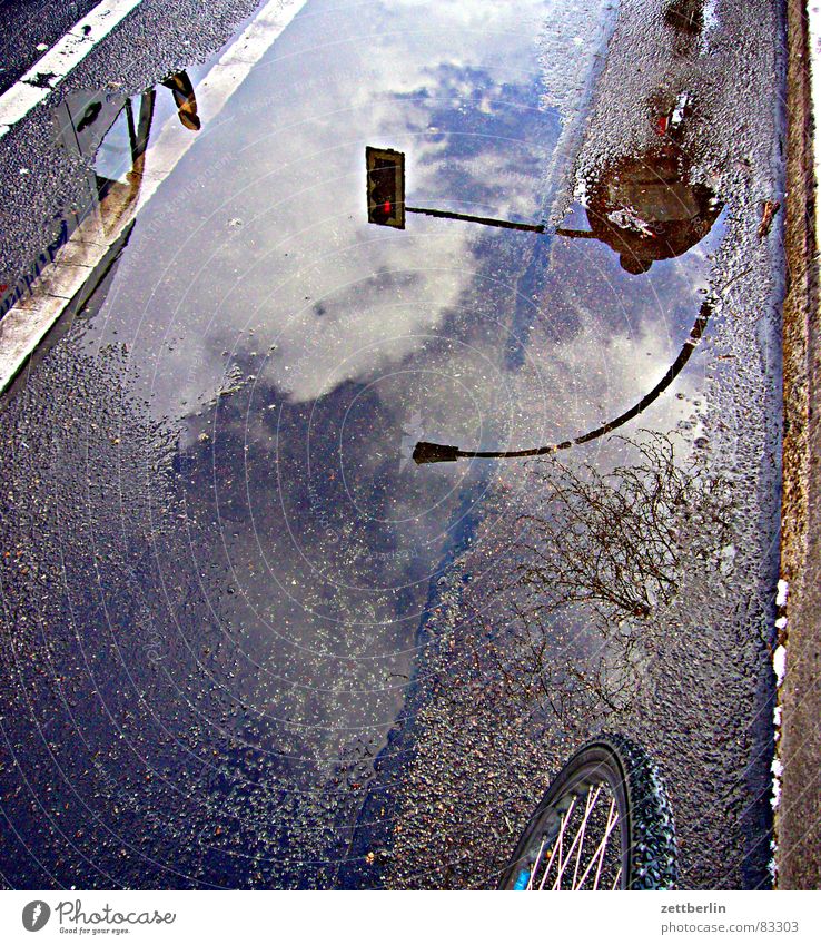 bicycle path Soccer team Cycle path Bicycle Wheel Road traffic Puddle Reflection Lantern Traffic light Clouds Asphalt Traffic infrastructure Deer