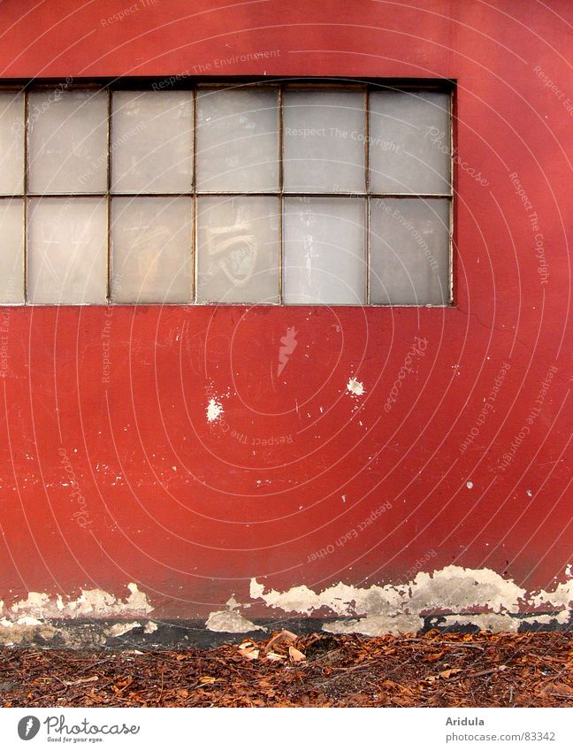 red wall Wall (building) Red Decline Broken House (Residential Structure) Garage Workshop Window Dreary Blind Plaster Leaf Autumn Brown Show your teeth Building